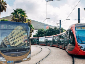 إحصائيات استخدام وسائل النقل الحضري في الدار البيضاء: طرامواي وباصواي