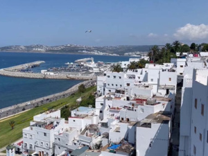 صدور الترجمة العربية لرواية «طنجرينا» للكاتب الإسباني خابيير بالينثويلا