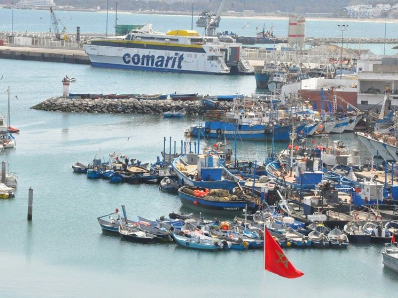 ميناء طنجة: تراجع مفرغات الصيد البحري بنسبة 17% سنة 2023